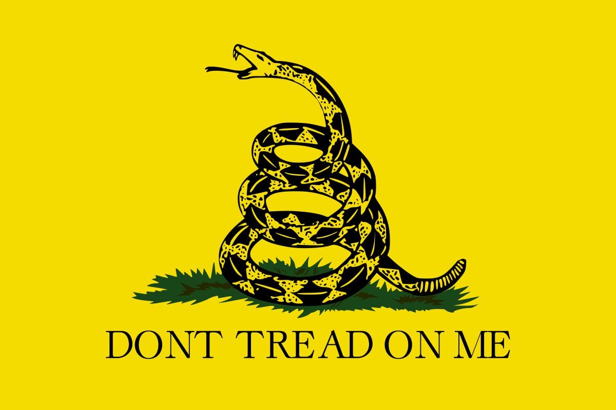 Bandeira de Gadsden: o icônico símbolo da luta libertária